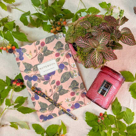 Foraged Wildberry Gift Set