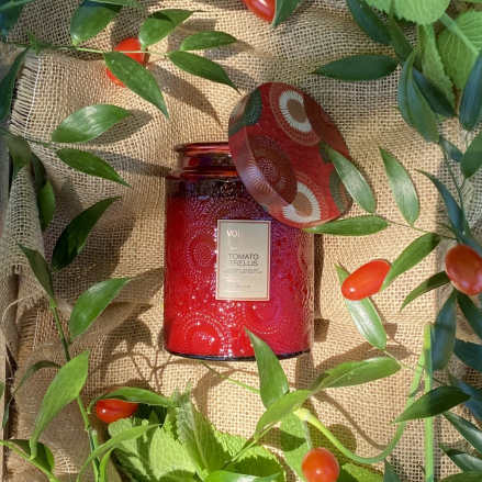 Voluspa Tomato Trellis Large Glass Jar Candle 18 oz