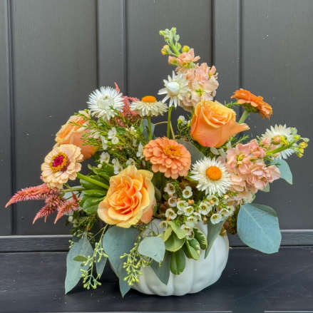 Low arrangement of peach roses, zinnias, and white daisies in a white ceramic pumpkin vase