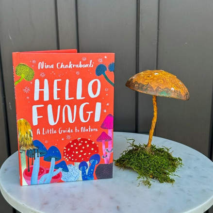 Red mushroom-themed nature book beside a rustic mushroom figurine on moss