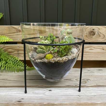 Glass terrarium with mixed small plants on a black metal stand