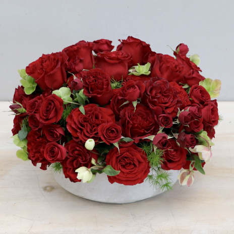 Low round arrangement of red roses in a white ceramic bowl