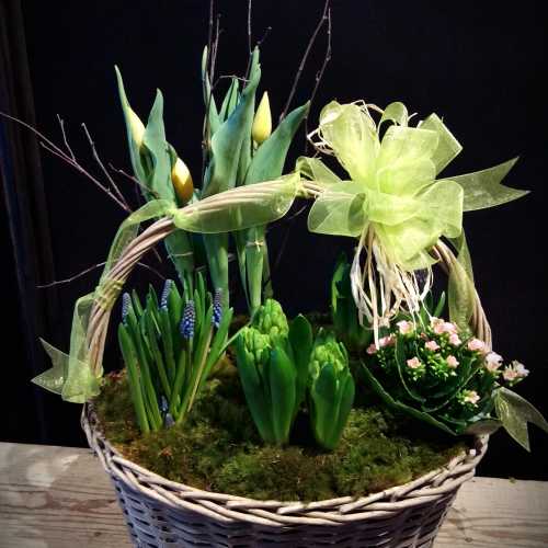 Premium Spring Bulb Garden