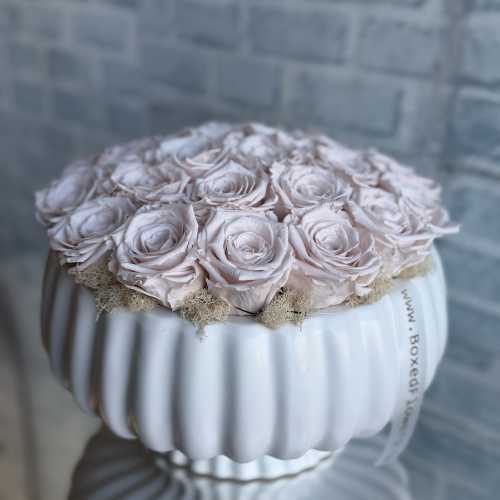 Pale pink roses arranged in a white ribbed vase