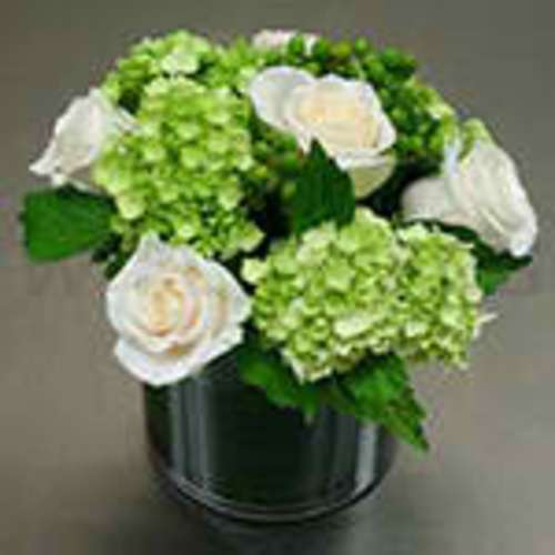 Compact arrangement of white roses and green hydrangeas in a shiny cylinder vase