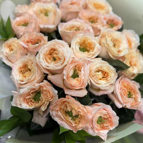25 melon expression garden rose bouquet