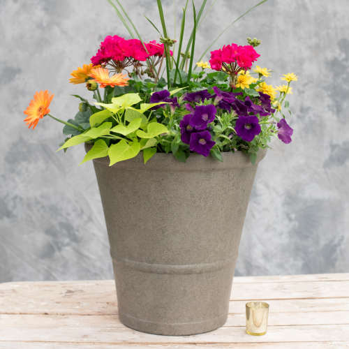 Grande Patio Pot