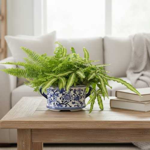 Oval Ceramic with a variety of ferns