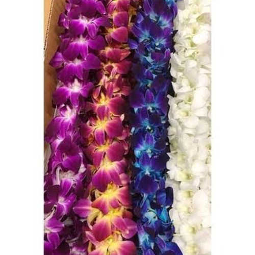 Double Orchid lei