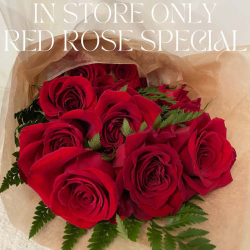 Red rose special!