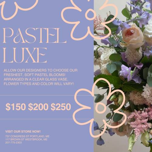Pastel Designer's Choice