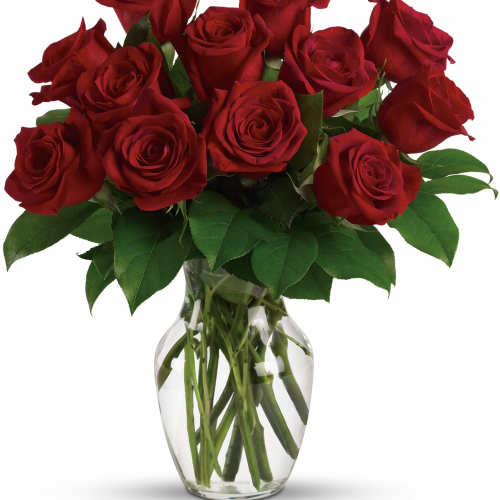 Enduring Passion - 12 Red Roses