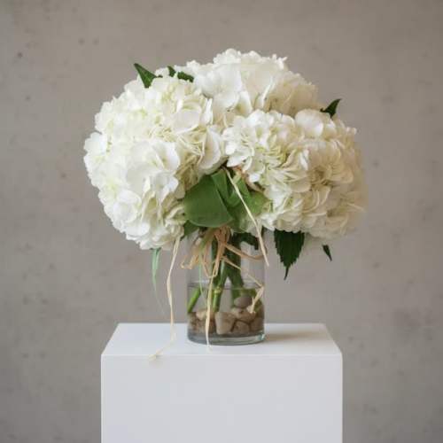 Carnton Hydrangea Cluster in white