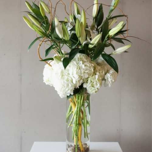Graceful White Lilies