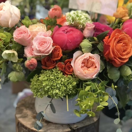 Low bowl arrangement of pink and orange roses and peonies with green hydrangea and trailing foliage