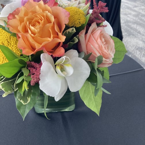 Seasonal Spring Collection