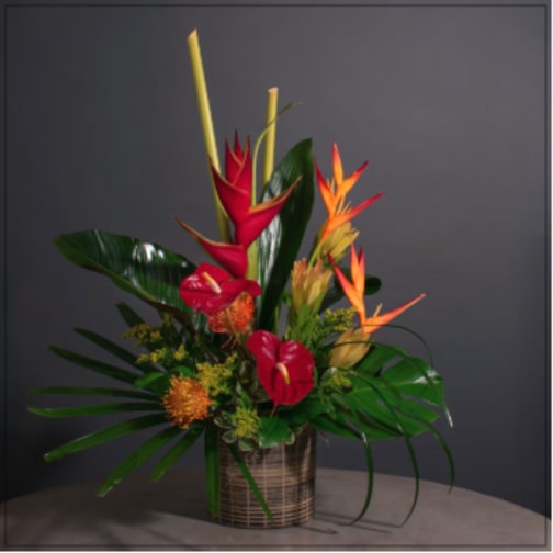Tropical flower arrangement with red anthuriums and bird of paradise in a woven vase