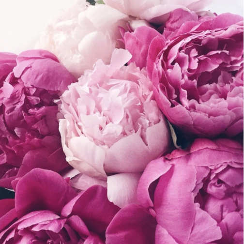 Wrapped bouquet of seasonal peonies.