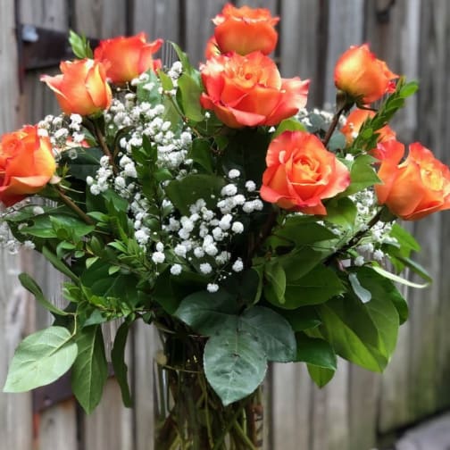 Orange roses in a vase