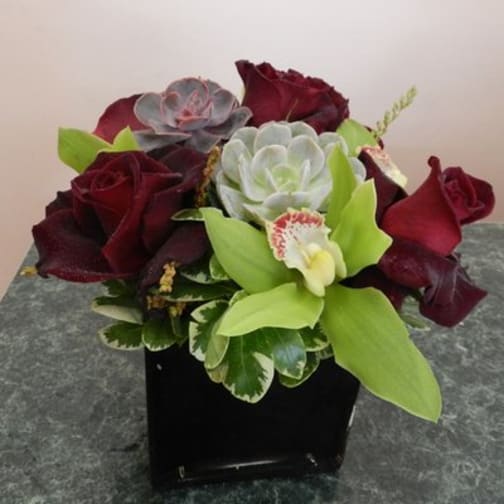 Black Baccara