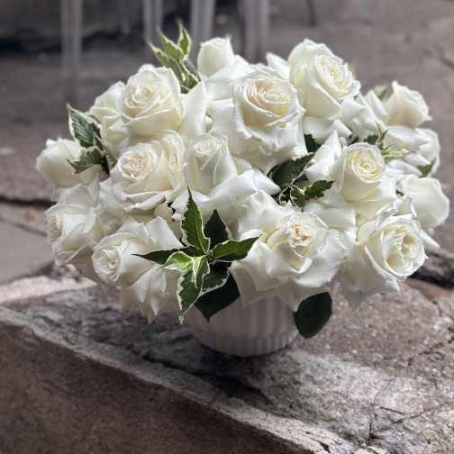 Elegance: White roses