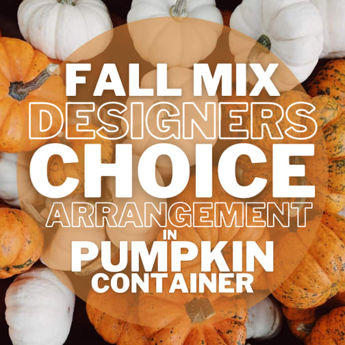 Fall Designers Choice In Ceramic Pumpkin