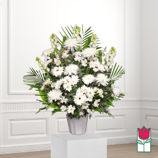 White daisy bouquet in a silver vase