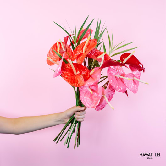 Handheld bouquet of pink and red anthuriums with long green leaves