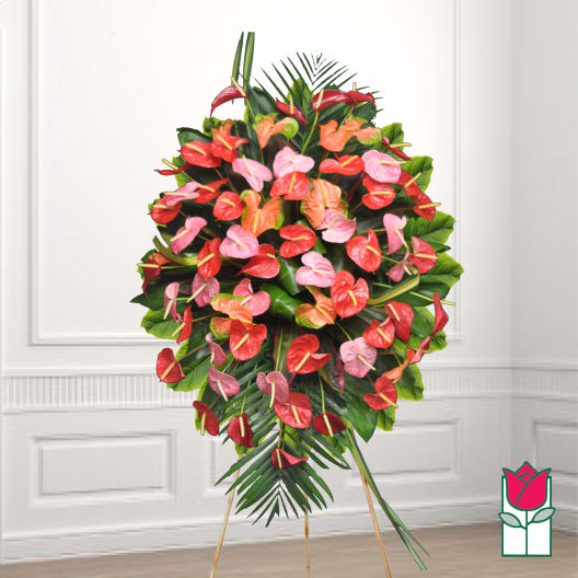 Standing floral spray of red and pink anthuriums with tropical leaves