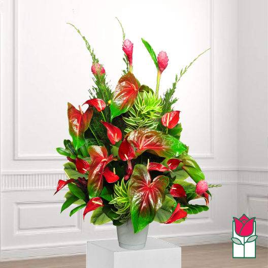 Tropical arrangement with red anthuriums and pink ginger in a white vase