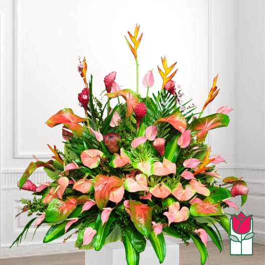 Large tropical arrangement with pink anthuriums and orange heliconia in a white container