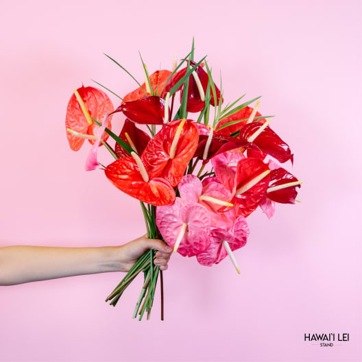 Handheld bouquet of red and pink anthuriums against a pink background