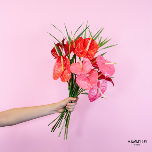 Handheld bouquet of pink and red anthuriums against a pink background