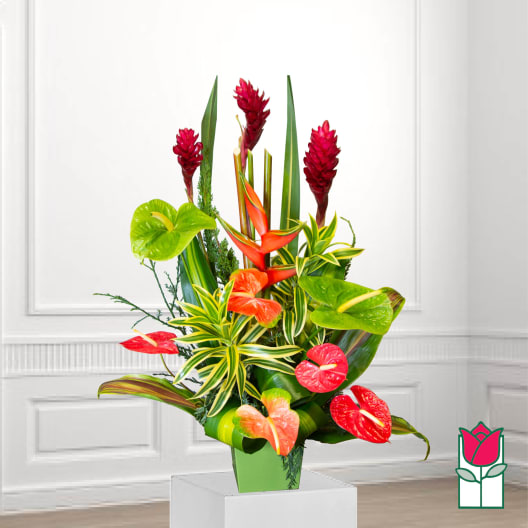 Tropical arrangement with red anthuriums and tall red ginger flowers in a green vase