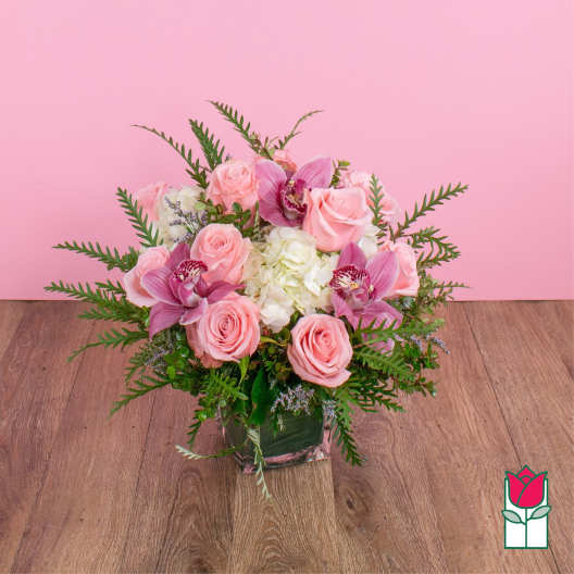 Beretania's Compact Bouquet (Bubblegum)
