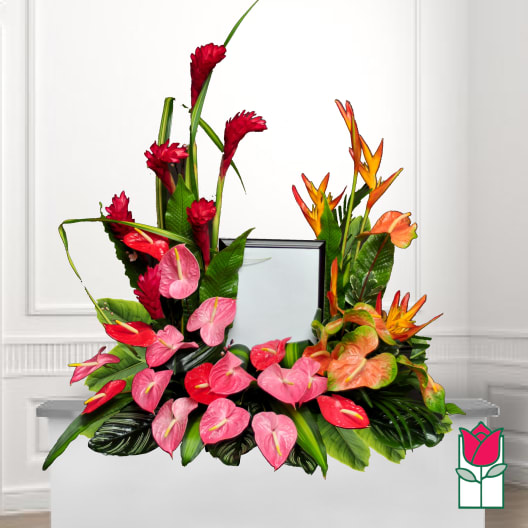 Tropical floral arrangement with pink and red anthuriums and orange bird-of-paradise blooms