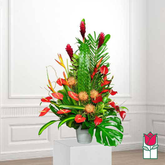 Tropical floral arrangement with red blooms in a white pot