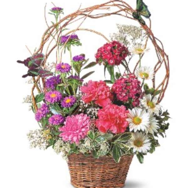 Basket arrangement of pink carnations, purple asters, and white daisies with a twig arch and butterflies.