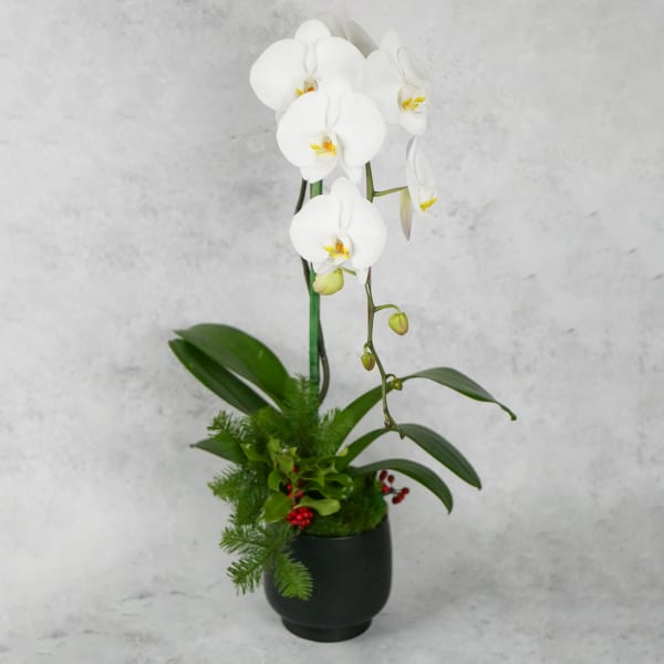 Flowers Delivery Los Angeles Anthony's Flowers