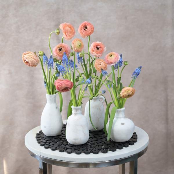 Weathered Grace Bud Vase Collection