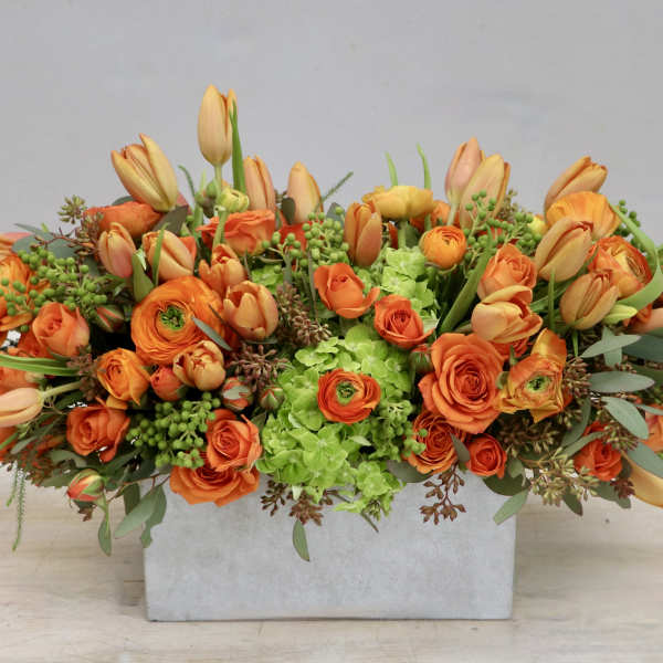 Low rectangular arrangement of bright orange roses, tulips, and ranunculus with green hydrangeas