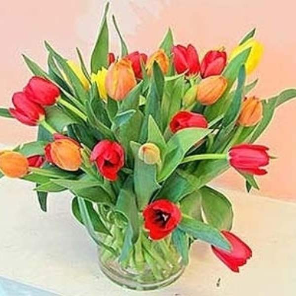 Lovely Tulips | Premium Flower Delivery in San Francisco