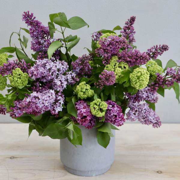 Lilac and green viburnum arrangement in a gray vase
