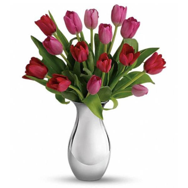 Bouquet of red and pink tulips in a silver vase