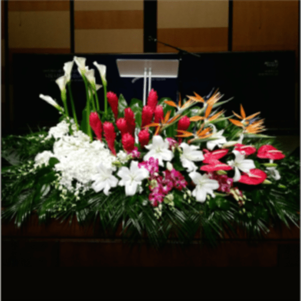 PODIUM ARRANGEMENT 117 [TTPOD117]