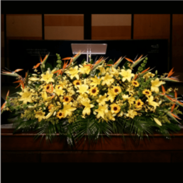 PODIUM ARRANGEMENT 121 [TTPOD121]
