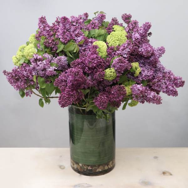 Purple lilac stems in a clear glass vase with green blooms