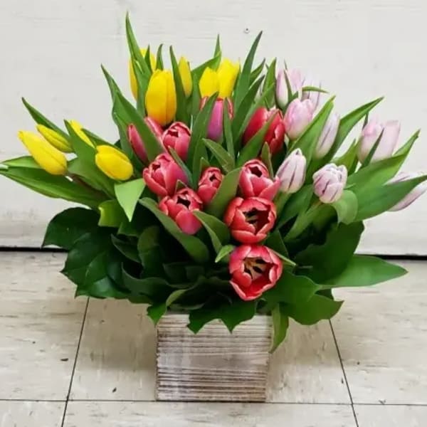 Colorful tulip arrangement in a square wooden container