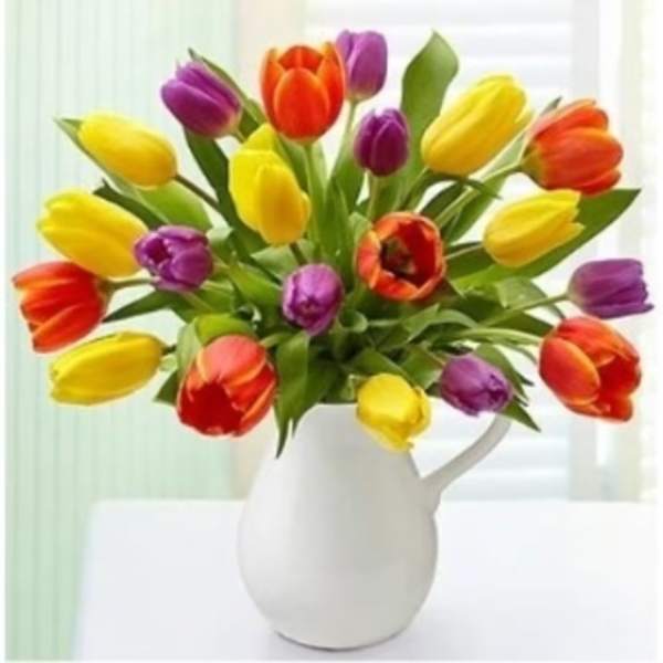 Colorful tulips arranged in a white pitcher vase