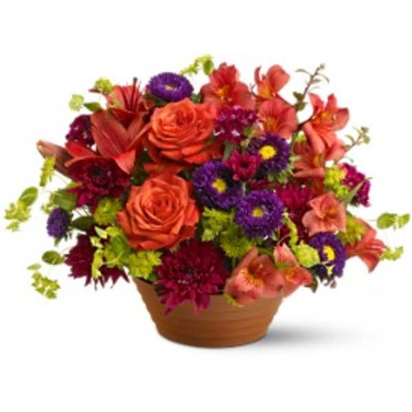 Bright arrangement of orange roses with purple and red blooms in a low terracotta pot